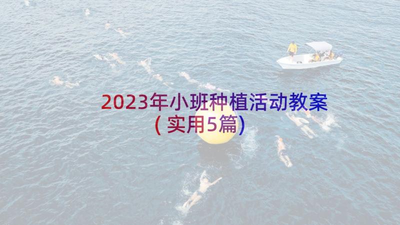 2023年小班种植活动教案(实用5篇)