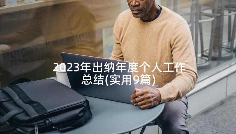 2023年出纳年度个人工作总结(实用9篇)