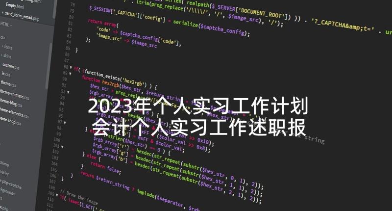 2023年个人实习工作计划 会计个人实习工作述职报告(精选5篇)