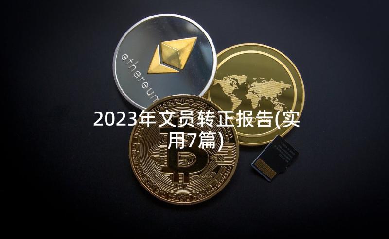 2023年文员转正报告(实用7篇)