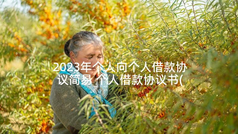 2023年个人向个人借款协议简易 个人借款协议书(大全7篇)