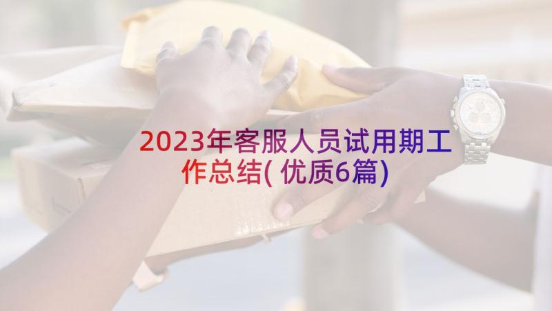 2023年客服人员试用期工作总结(优质6篇)