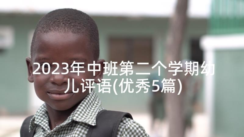 2023年中班第二个学期幼儿评语(优秀5篇)