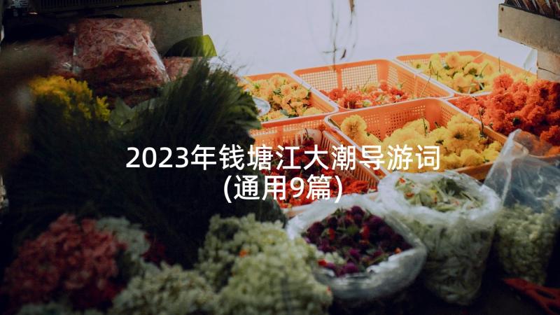 2023年钱塘江大潮导游词(通用9篇)