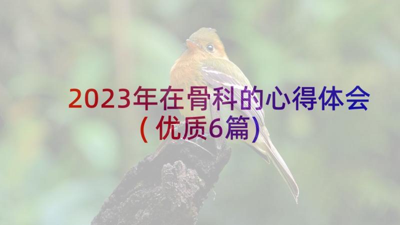 2023年在骨科的心得体会(优质6篇)