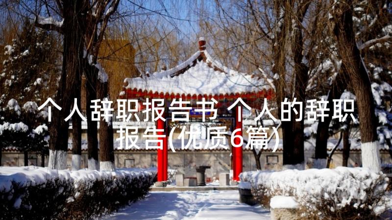 个人辞职报告书 个人的辞职报告(优质6篇)