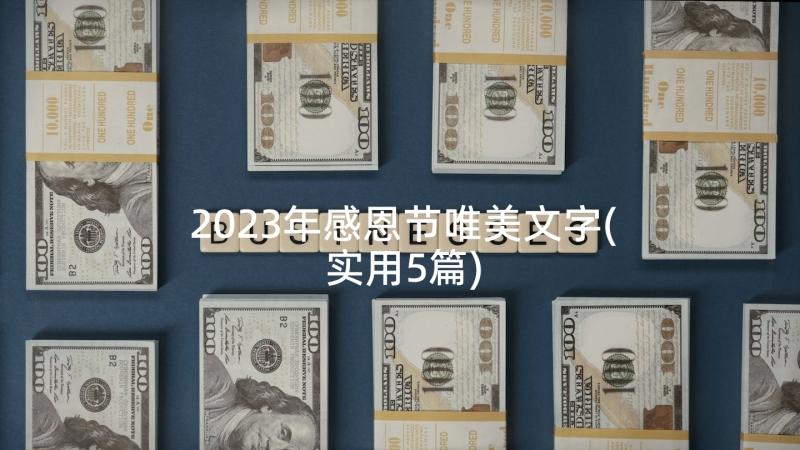 2023年感恩节唯美文字(实用5篇)