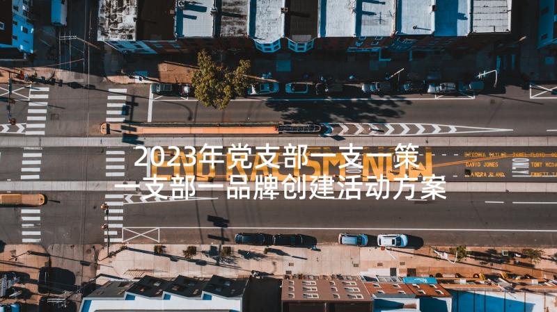 2023年党支部一支一策 一支部一品牌创建活动方案集合(汇总5篇)