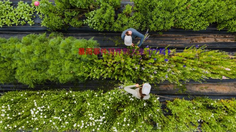 暴雨事件写作则大全（17篇）