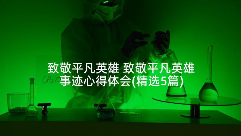 致敬平凡英雄 致敬平凡英雄事迹心得体会(精选5篇)