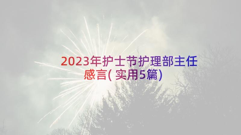 2023年护士节护理部主任感言(实用5篇)