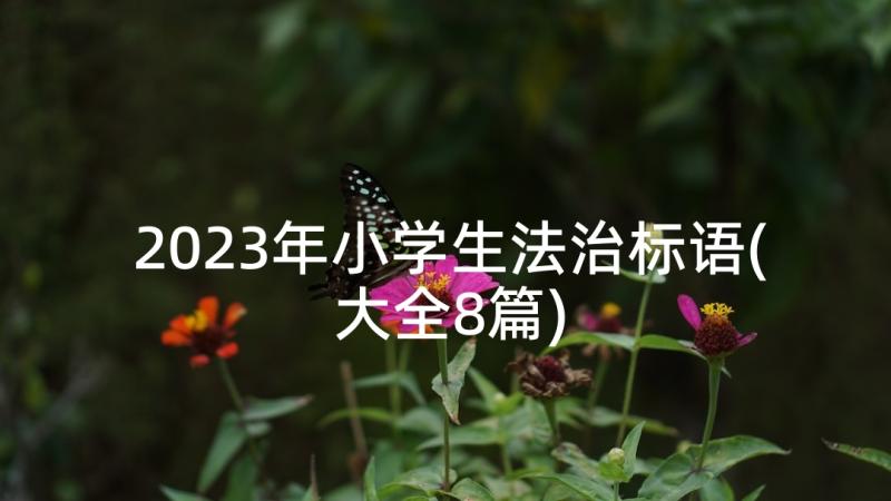 2023年小学生法治标语(大全8篇)