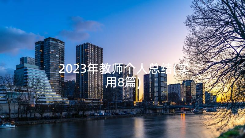 2023年教师个人总结(实用8篇)