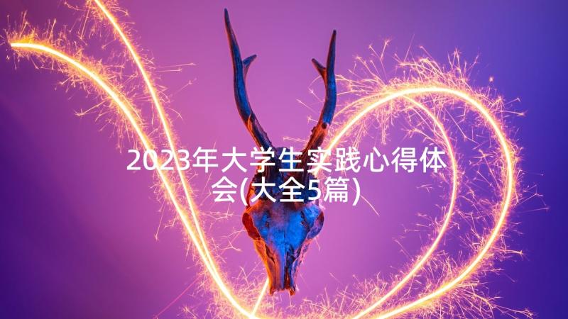 2023年大学生实践心得体会(大全5篇)