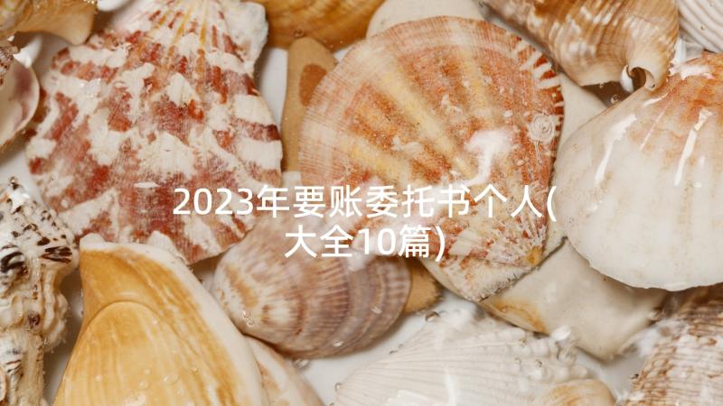 2023年要账委托书个人(大全10篇)