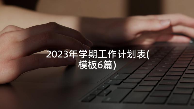 2023年学期工作计划表(模板6篇)