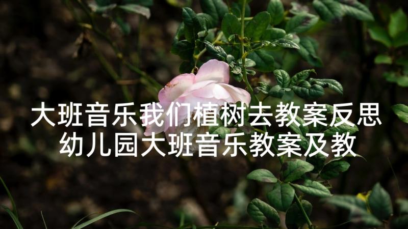 大班音乐我们植树去教案反思 幼儿园大班音乐教案及教学反思幸福的我们(精选5篇)