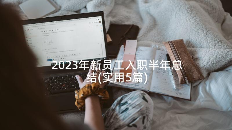 2023年新员工入职半年总结(实用5篇)