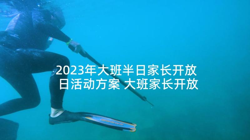 2023年大班半日家长开放日活动方案 大班家长开放日活动总结(模板8篇)