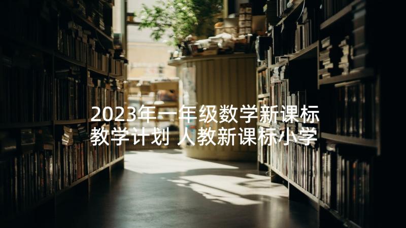 2023年一年级数学新课标教学计划 人教新课标小学一年级数学前后教案(精选6篇)