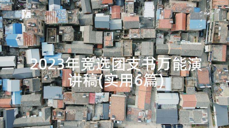 2023年竞选团支书万能演讲稿(实用6篇)