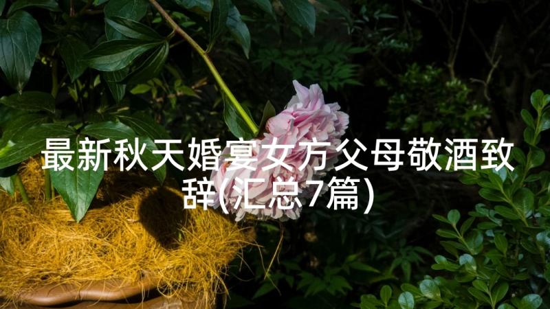 最新秋天婚宴女方父母敬酒致辞(汇总7篇)