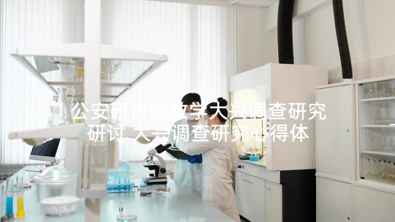 公安研讨式教学大兴调查研究研讨 大兴调查研究心得体会(汇总5篇)