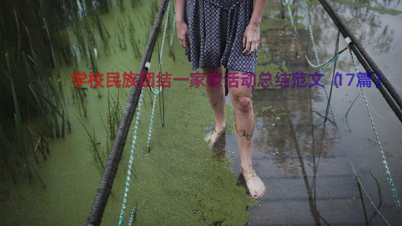 学校民族团结一家亲活动总结范文（17篇）