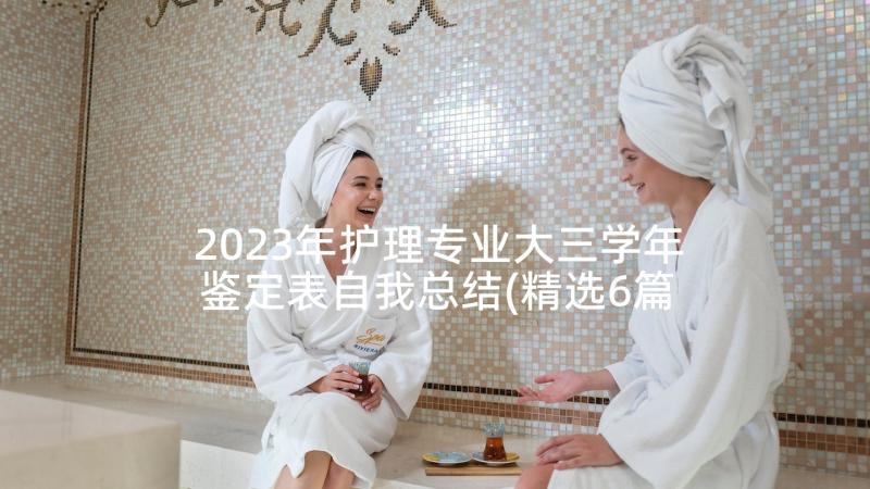 2023年护理专业大三学年鉴定表自我总结(精选6篇)