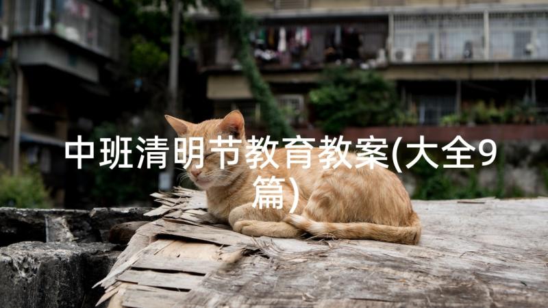 中班清明节教育教案(大全9篇)