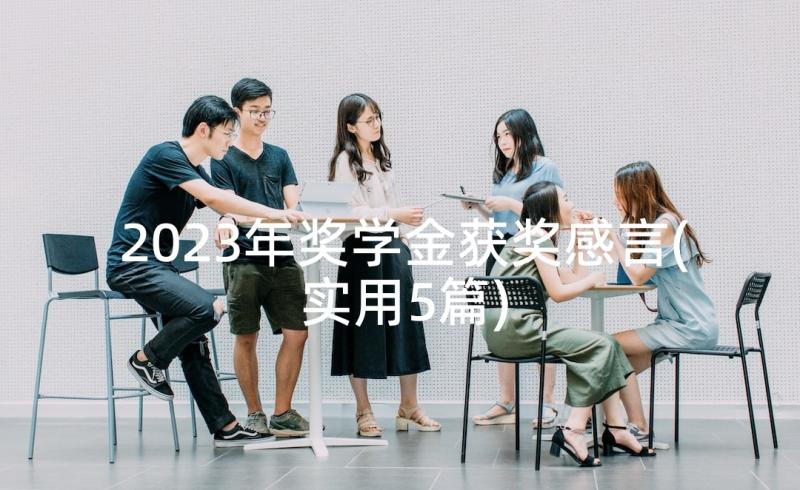 2023年奖学金获奖感言(实用5篇)