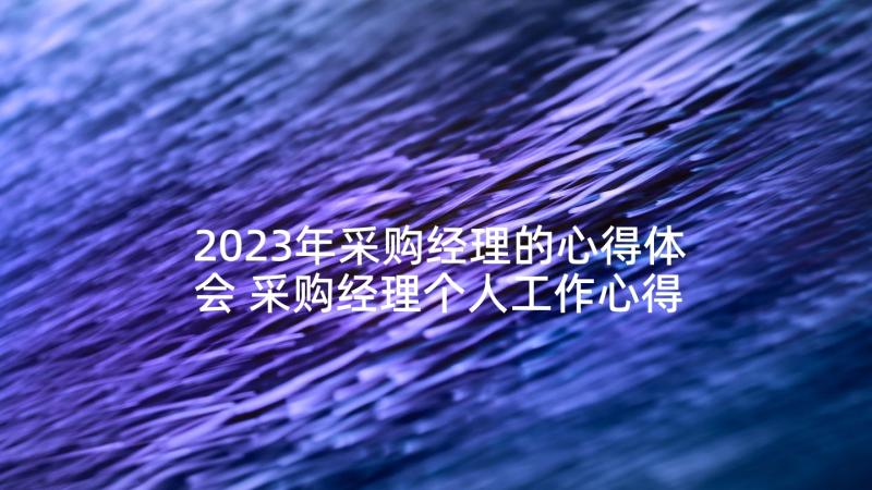 2023年采购经理的心得体会 采购经理个人工作心得体会(精选5篇)