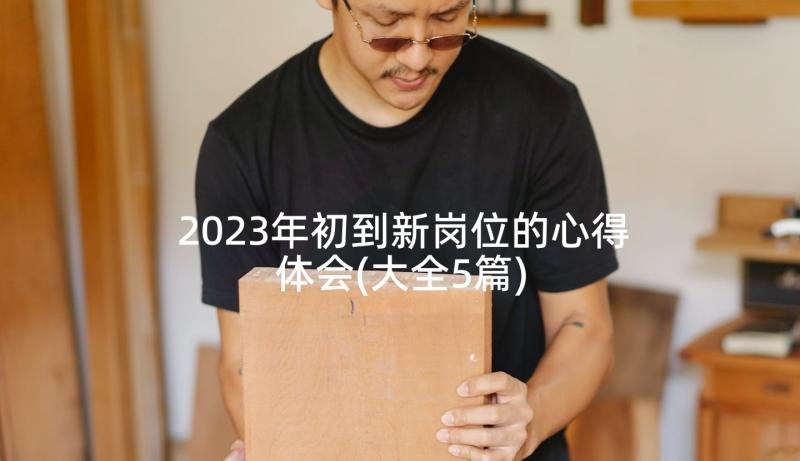 2023年初到新岗位的心得体会(大全5篇)