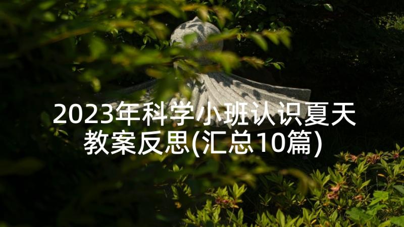 2023年科学小班认识夏天教案反思(汇总10篇)