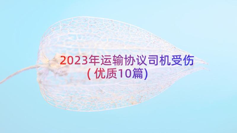 2023年运输协议司机受伤(优质10篇)