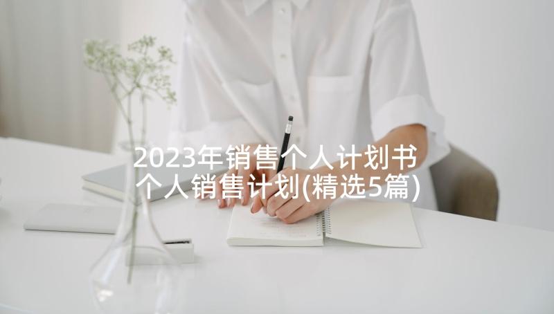 2023年销售个人计划书 个人销售计划(精选5篇)