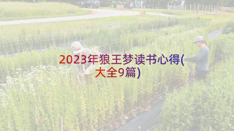 2023年狼王梦读书心得(大全9篇)