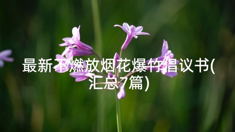 最新不燃放烟花爆竹倡议书(汇总7篇)