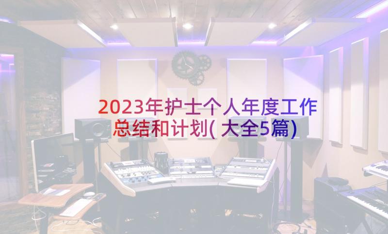 2023年护士个人年度工作总结和计划(大全5篇)