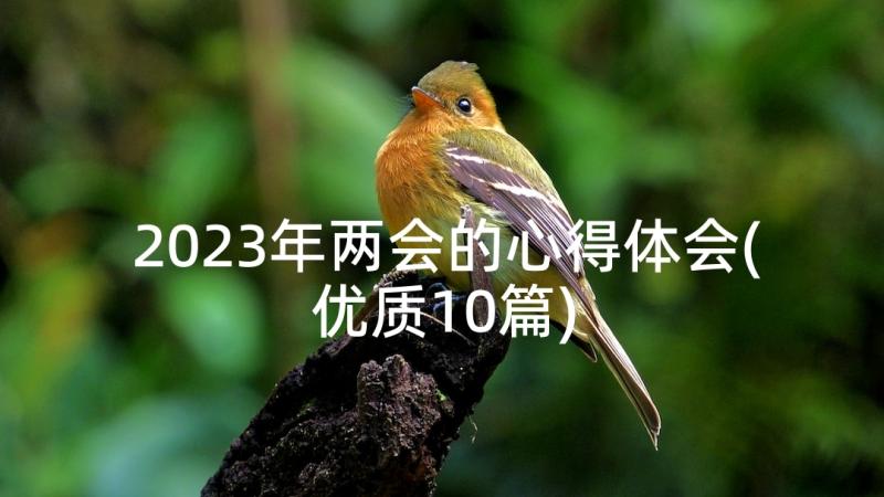 2023年两会的心得体会(优质10篇)