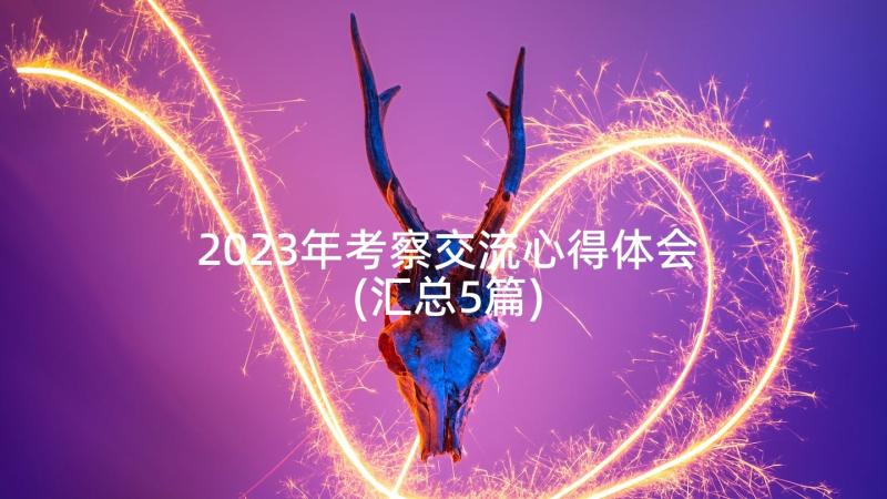 2023年考察交流心得体会(汇总5篇)