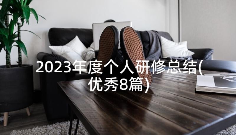 2023年度个人研修总结(优秀8篇)