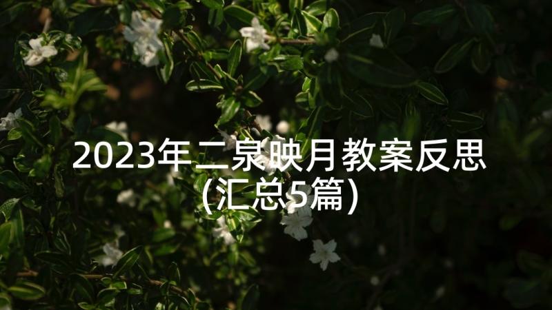 2023年二泉映月教案反思(汇总5篇)