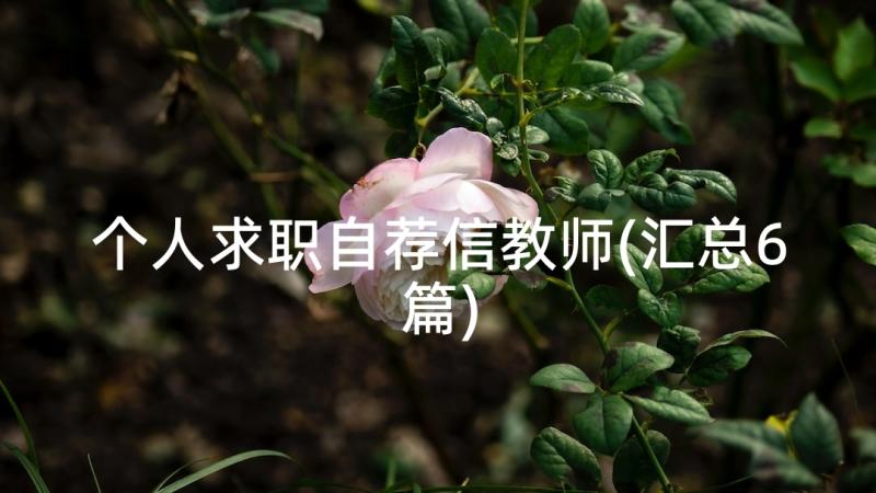 个人求职自荐信教师(汇总6篇)