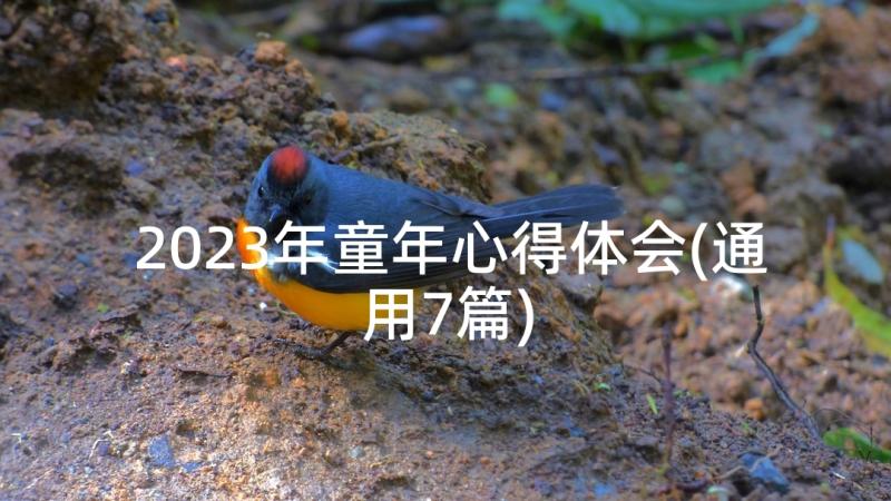 2023年童年心得体会(通用7篇)