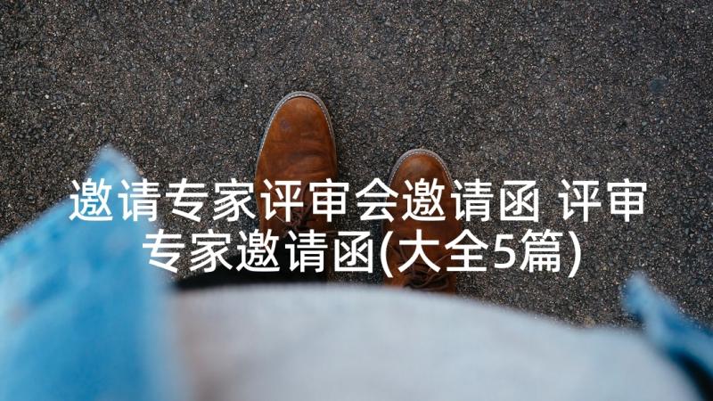 邀请专家评审会邀请函 评审专家邀请函(大全5篇)