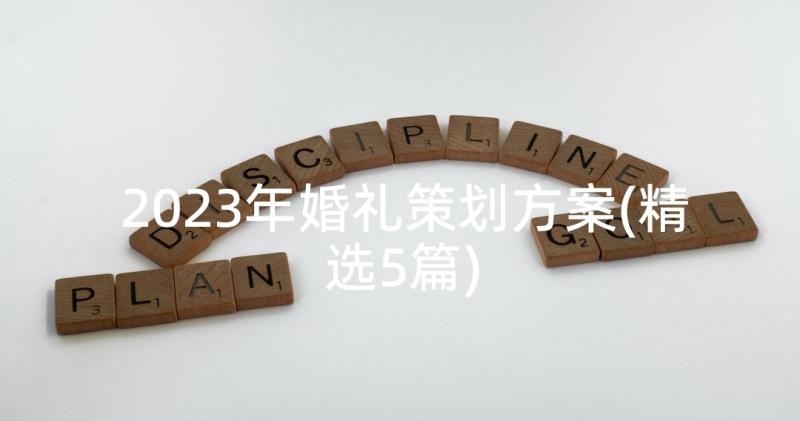 2023年婚礼策划方案(精选5篇)