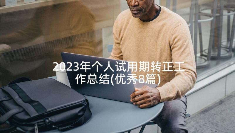 2023年个人试用期转正工作总结(优秀8篇)