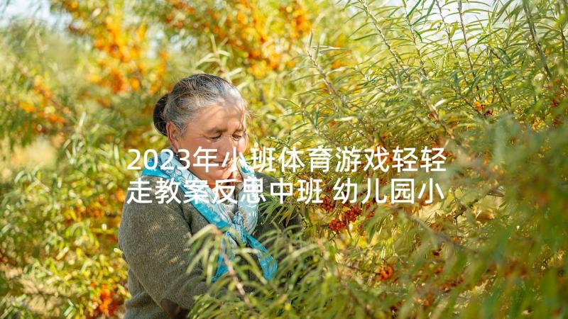 2023年小班体育游戏轻轻走教案反思中班 幼儿园小班体育游戏教案赶小猪含反思(大全5篇)