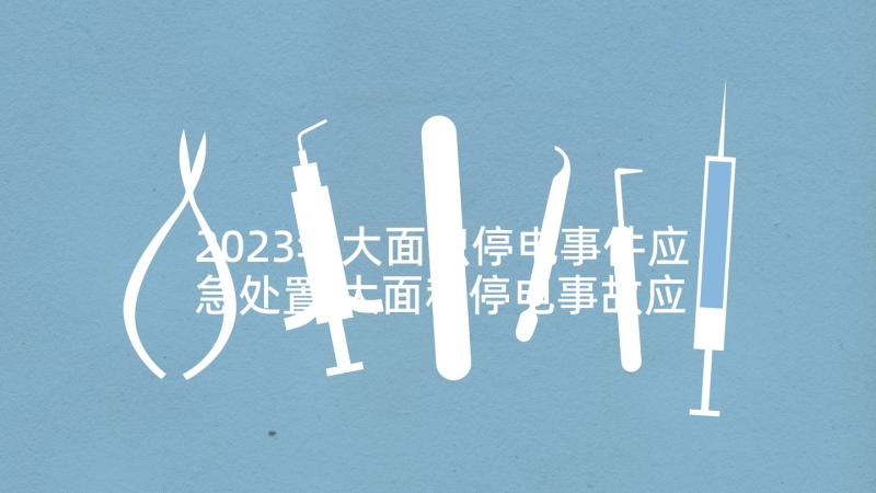 2023年大面积停电事件应急处置 大面积停电事故应急预案(通用5篇)